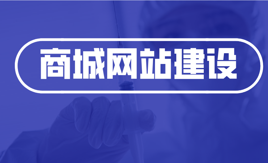 商城网站建设